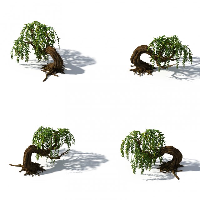peach blossom island - plant - willow 01 Modelo 3D .c4d .max .obj .3ds .fbx .stl .blend