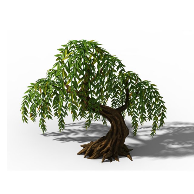 peach blossom island - plant - willow 02 3D Model .c4d .max .obj .3ds .fbx .stl .blend 