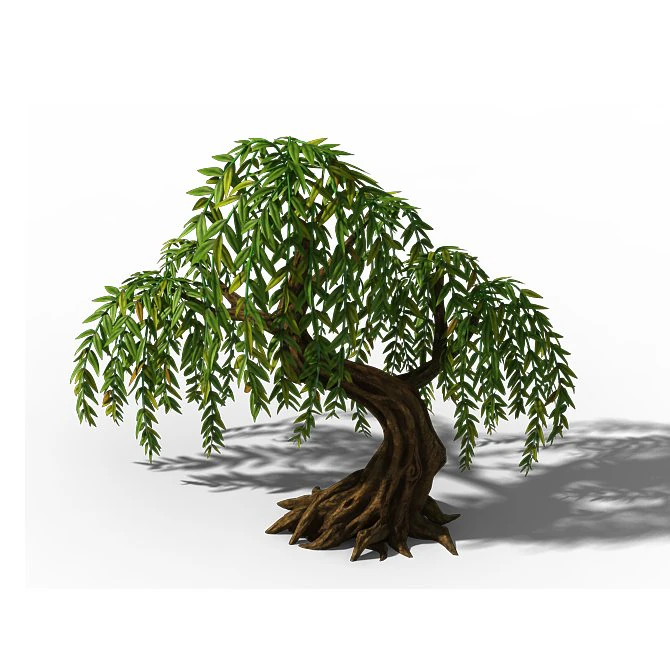 peach blossom island - plant - willow 02 3D Model .c4d .max .obj .3ds .fbx .stl .blend 
