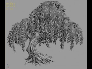 peach blossom island - plant - willow 02 3D Model
