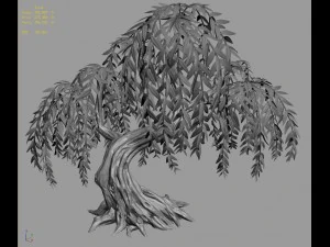 peach blossom island - plant - willow 02 3D Model