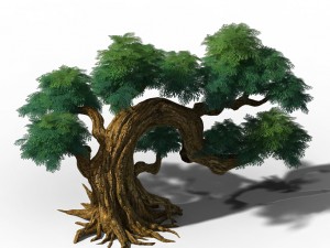 peach blossom island - plant - tree 07 Modello 3D