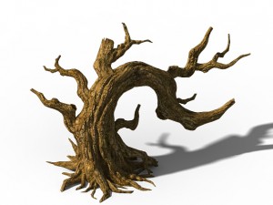 peach blossom island - plant - tree 07 Modelo 3D