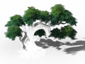peach blossom island - plant - tree 07 3D Model