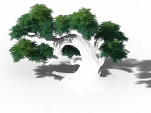 peach blossom island - plant - tree 07 3D Model