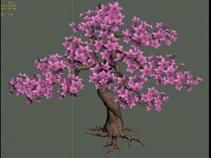 peach tree 61 3D Model