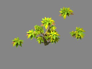 small shrub 61 3D Model