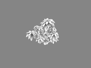 small shrub 61 3D Model