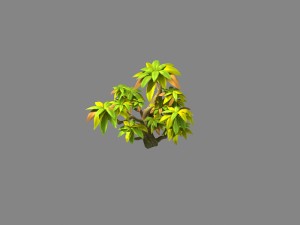 small shrub 61 3D Model