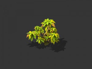 small shrub 61 3D Model
