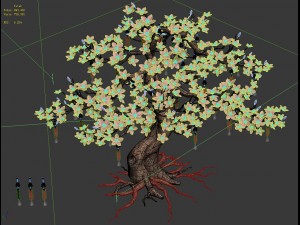 wishing tree 61 3D 모델