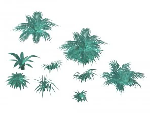 बर्फ का पौधा - फूल 62 3D मॉडल