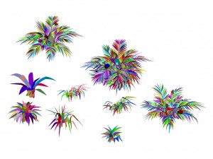 snow plant - flowers 62 3D Model