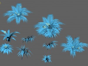snow plant - flowers 62 3D Model