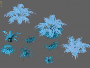 snow plant - flowers 62 3D Model