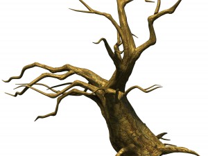 fairy town - dead tree 2 3D Model
