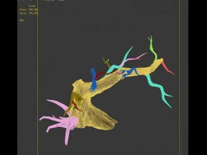 fairy town - dead tree 4 3D Model