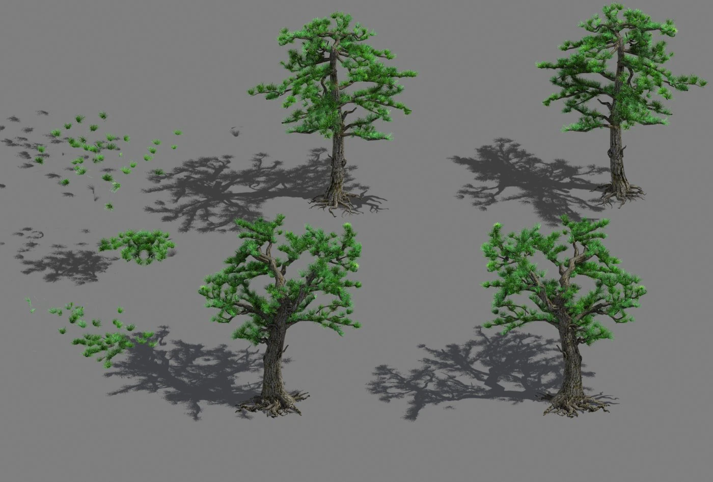 welcoming pine 043 3D Model .c4d .max .obj .3ds .fbx .stl .blend 