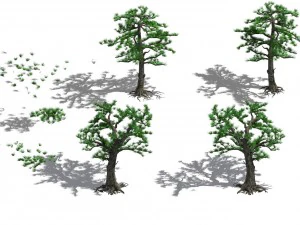 welcoming pine 043 3D Model
