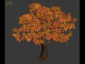 game model - maple 014 Model 3D