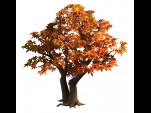 game model - maple 015 3D मॉडल