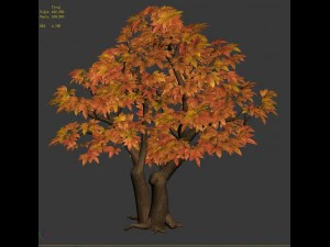 game model - maple 015 3D Model