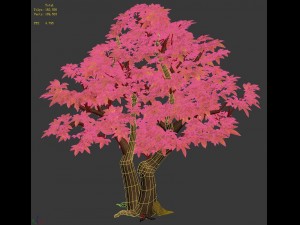 game model - maple 015 3D मॉडल