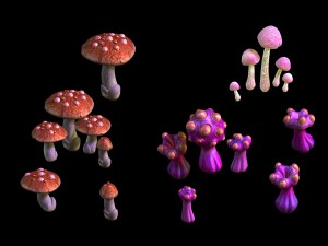game - strange mushroom collection 3D Model