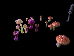 game - strange mushroom collection 3D Model