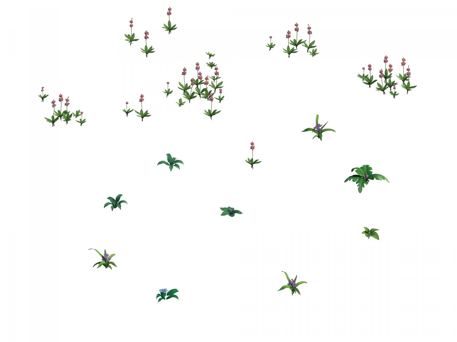 game plants - flowers 271 3D Model .c4d .max .obj .3ds .fbx .stl .blend 