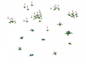 game plants - flowers 271 Modèle 3D