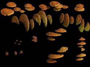 virgin forest - yellow fungus 01 3D 모델