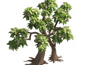 plant model - peach tree 272 3D मॉडल