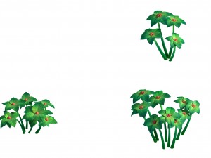 plant models - small plants 271 3D Model