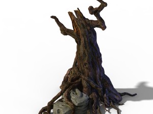 zhongnanshan - beautiful personality tree root 02 3D Model