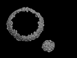 mountain - moss - rocks 11 3D Model