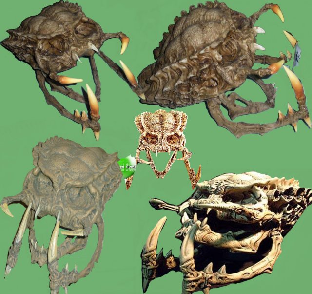 monster skull - hole Modello 3D .c4d .max .obj .3ds .fbx .stl .blend 