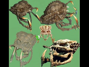 monster skull - hole Model 3D