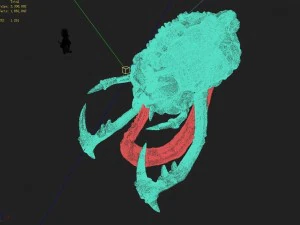 monster skull - hole 3D Model
