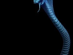 magic palace - religion - stone snake 01 3Dモデル