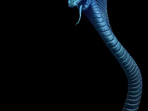 magic palace - religion - stone snake 01 3D Model