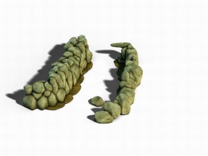 south qilian - river elements 3D Model