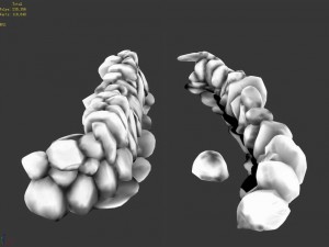 south qilian - river elements 3D Model