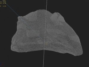 mountain hengshan - small stone 01 3D Model
