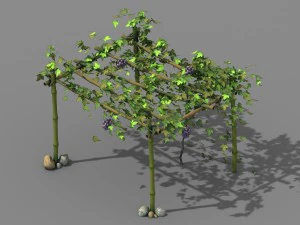 Kletterrattan - Bambusschuppen 01 3D Modell