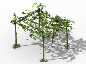 climbed rattan - bamboo shed 01 Modelo 3D