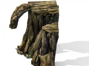 explore the mountains - rocks 19 3D 模型