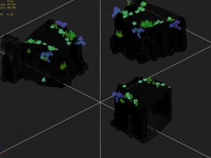 explore the mountains - the cliff 02 3D Model