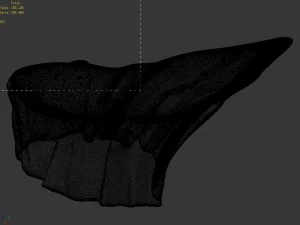 tongtianhe - ice stone 06 3D Model