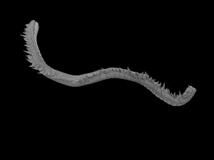 shinomiya village dragon middle 3D Model